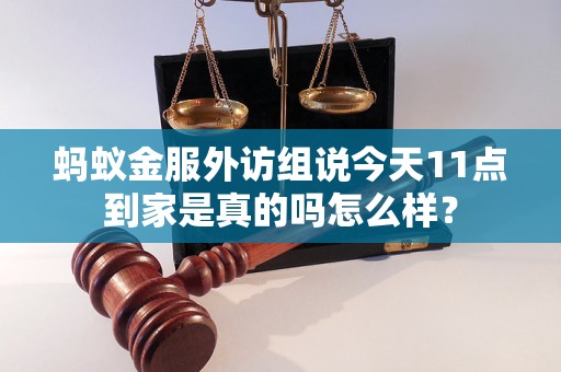 蚂蚁金服外访组说今天11点到家是真的吗怎么样？