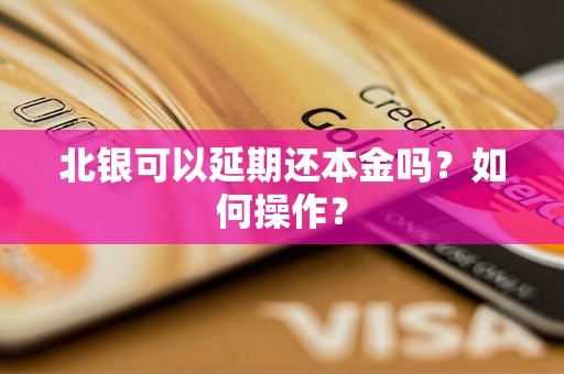 北银可以延期还本金吗？如何操作？