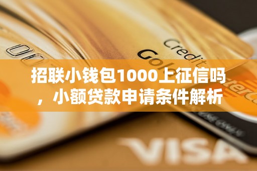 招联小钱包1000上征信吗，小额贷款申请条件解析