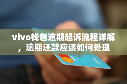 vivo钱包逾期起诉流程详解，逾期还款应该如何处理