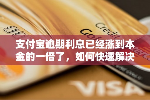 支付宝逾期利息已经涨到本金的一倍了，如何快速解决逾期还款问题