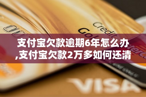 支付宝欠款逾期6年怎么办,支付宝欠款2万多如何还清