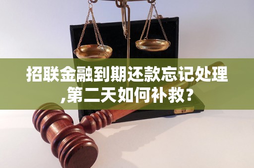 招联金融到期还款忘记处理,第二天如何补救？