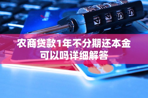 农商贷款1年不分期还本金可以吗详细解答