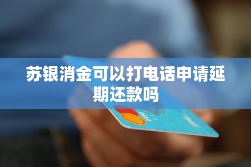 苏银消金可以打电话申请延期还款吗