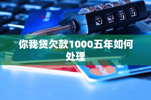 你我贷欠款1000五年如何处理