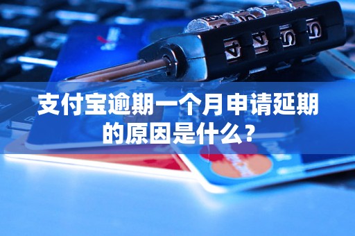 支付宝逾期一个月申请延期的原因是什么？