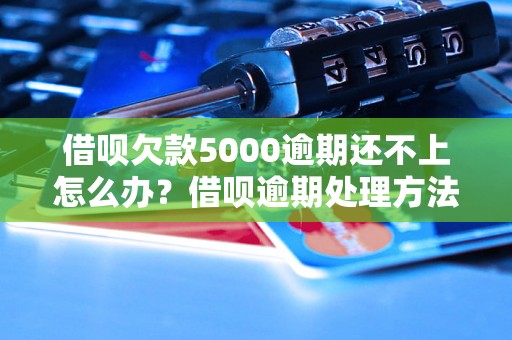 借呗欠款5000逾期还不上怎么办？借呗逾期处理方法详解