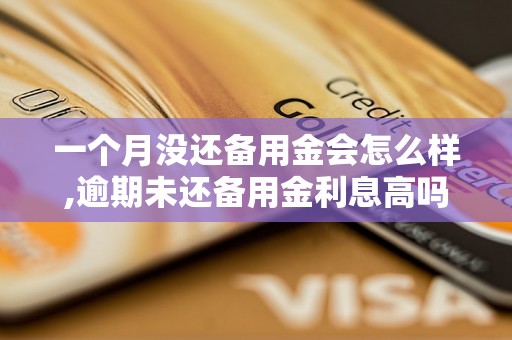 一个月没还备用金会怎么样,逾期未还备用金利息高吗