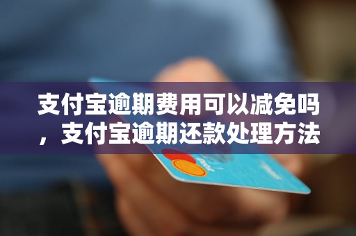 支付宝逾期费用可以减免吗，支付宝逾期还款处理方法