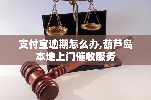 支付宝逾期怎么办,葫芦岛本地上门催收服务