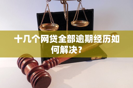 十几个网贷全部逾期经历如何解决？