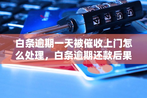 白条逾期一天被催收上门怎么处理，白条逾期还款后果严重吗