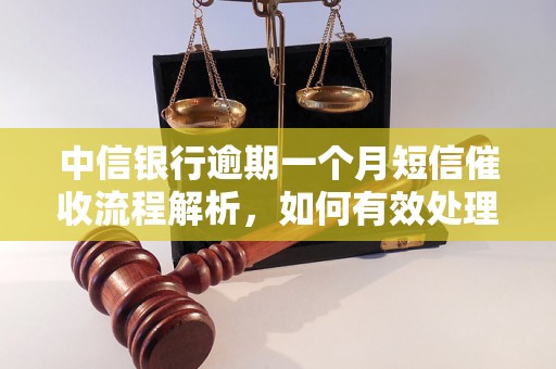 中信银行逾期一个月短信催收流程解析，如何有效处理逾期账单