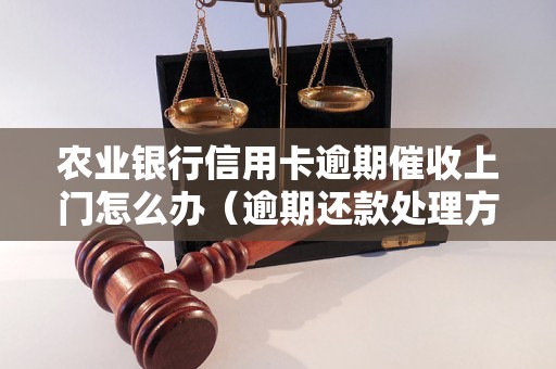 农业银行信用卡逾期催收上门怎么办（逾期还款处理方法）