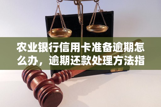 农业银行信用卡准备逾期怎么办，逾期还款处理方法指南