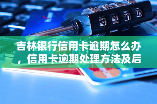 吉林银行信用卡逾期怎么办，信用卡逾期处理方法及后果