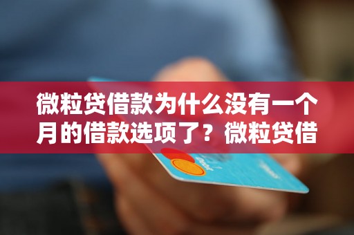 微粒贷借款为什么没有一个月的借款选项了？微粒贷借款期限调整原因解析