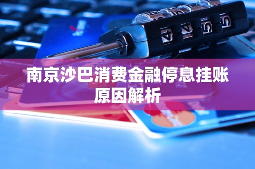 南京沙巴消费金融停息挂账原因解析