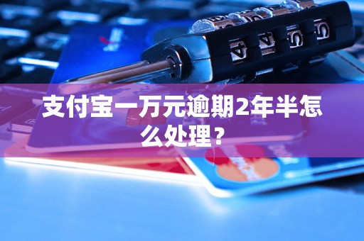 支付宝一万元逾期2年半怎么处理？