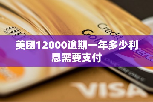 美团12000逾期一年多少利息需要支付