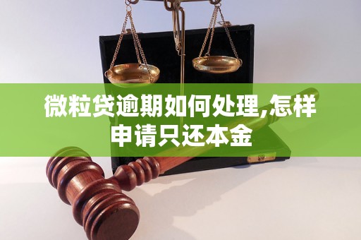 微粒贷逾期如何处理,怎样申请只还本金