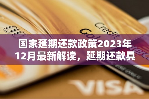 国家延期还款政策2023年12月最新解读，延期还款具体操作流程