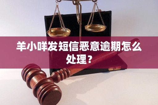 羊小咩发短信恶意逾期怎么处理？