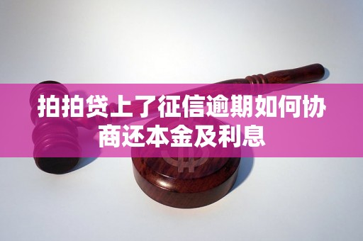 拍拍贷上了征信逾期如何协商还本金及利息