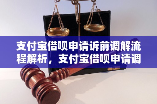 支付宝借呗申请诉前调解流程解析，支付宝借呗申请调解步骤详解