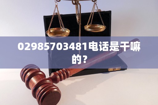 02985703481电话是干嘛的？