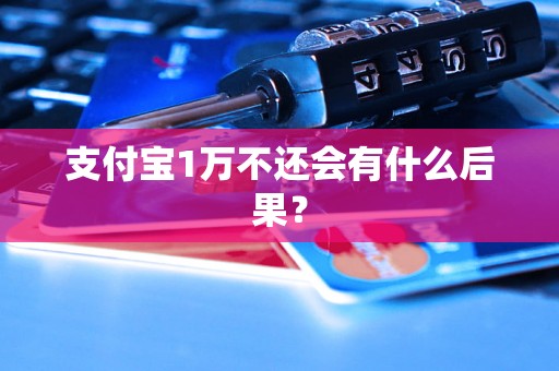 支付宝1万不还会有什么后果？