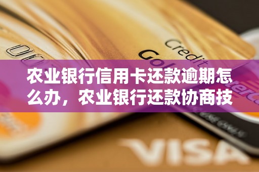 农业银行信用卡还款逾期怎么办，农业银行还款协商技巧分享