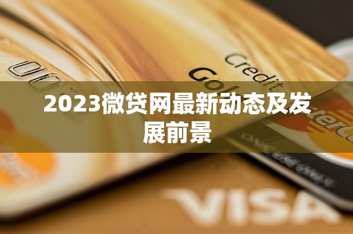 2023微贷网最新动态及发展前景