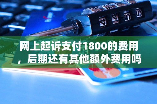 网上起诉支付1800的费用，后期还有其他额外费用吗