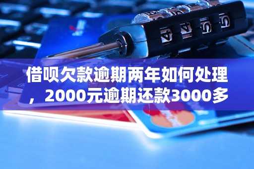 借呗欠款逾期两年如何处理，2000元逾期还款3000多要怎么办