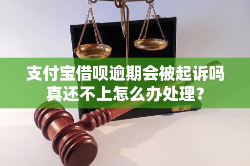 支付宝借呗逾期会被起诉吗真还不上怎么办处理？