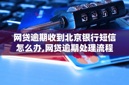 网贷逾期收到北京银行短信怎么办,网贷逾期处理流程详解