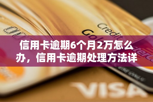 信用卡逾期6个月2万怎么办，信用卡逾期处理方法详解