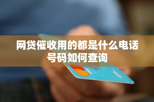 网贷催收用的都是什么电话号码如何查询