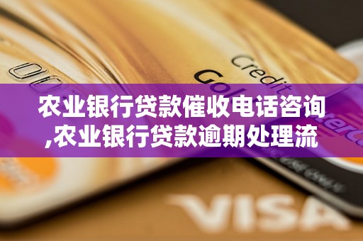 农业银行贷款催收电话咨询,农业银行贷款逾期处理流程