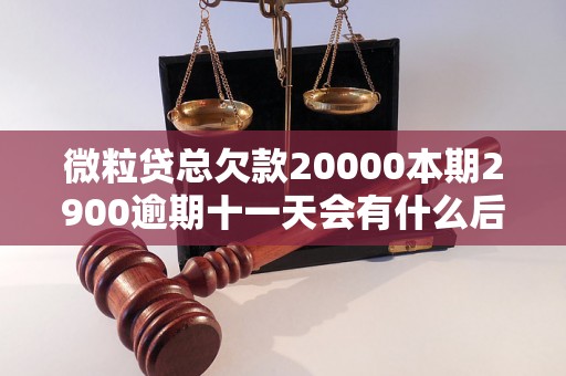 微粒贷总欠款20000本期2900逾期十一天会有什么后果？