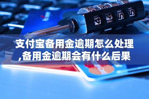 支付宝备用金逾期怎么处理,备用金逾期会有什么后果