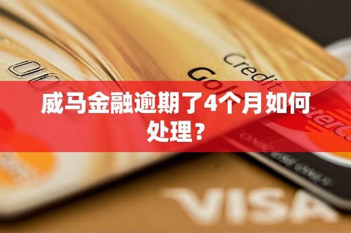 威马金融逾期了4个月如何处理？