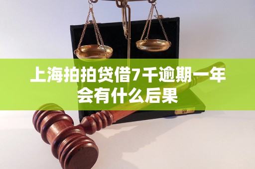 上海拍拍贷借7千逾期一年会有什么后果