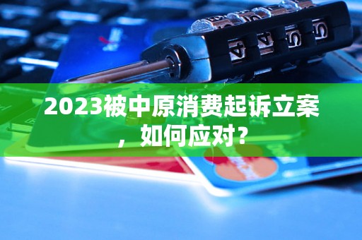 2023被中原消费起诉立案，如何应对？