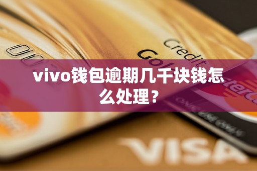 vivo钱包逾期几千块钱怎么处理？