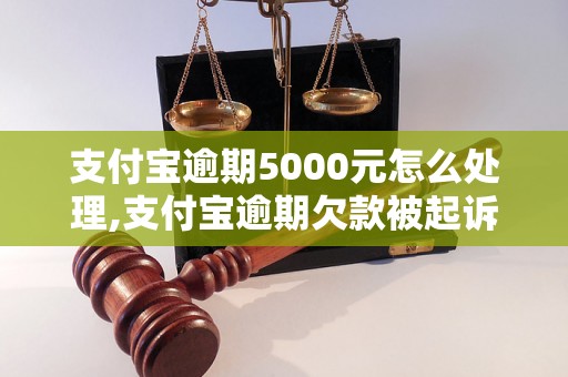 支付宝逾期5000元怎么处理,支付宝逾期欠款被起诉怎么办