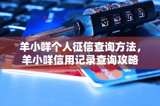 羊小咩个人征信查询方法，羊小咩信用记录查询攻略