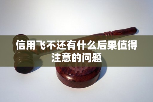 信用飞不还有什么后果值得注意的问题